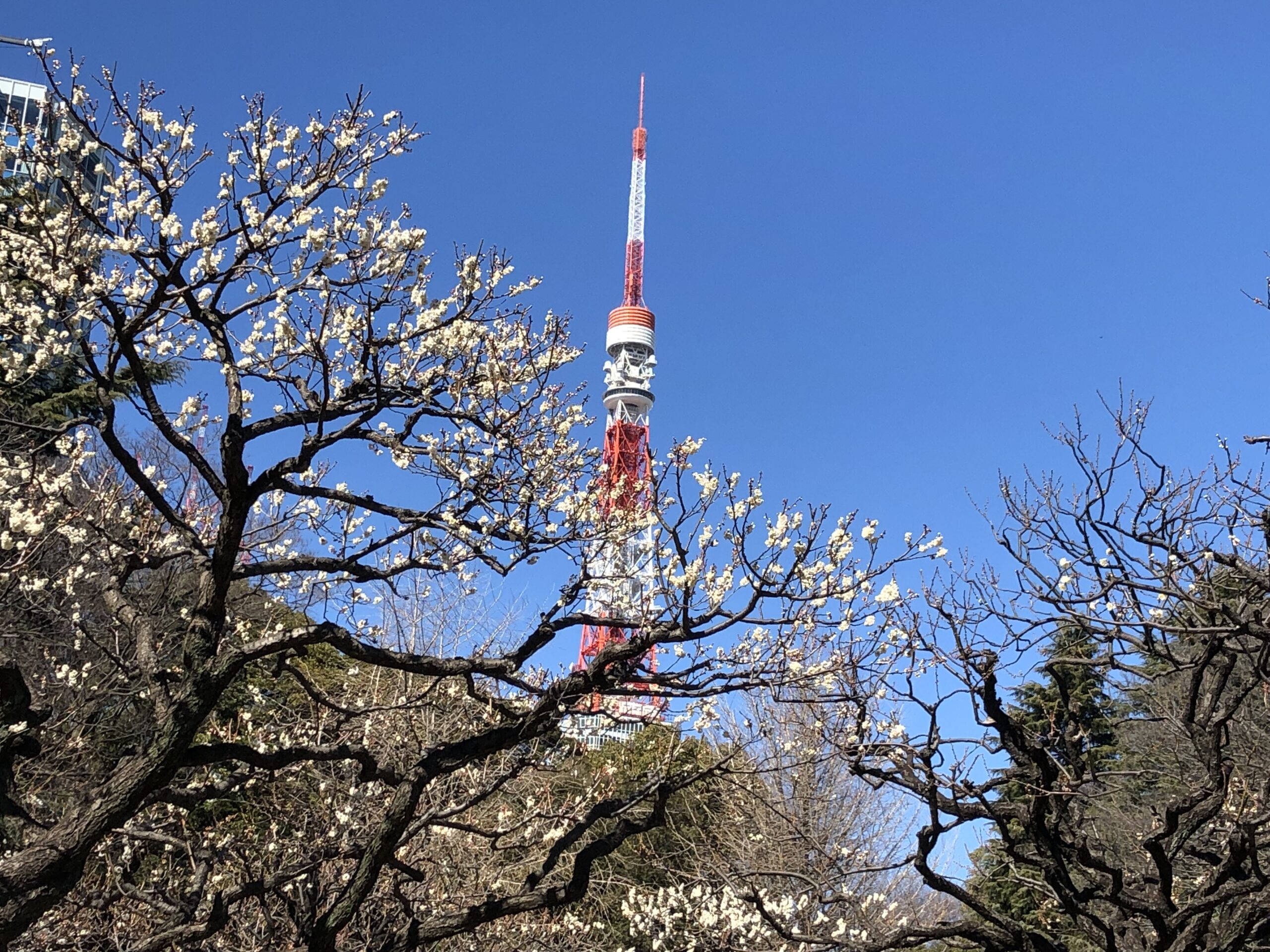 東京室内装飾事業協同組合
